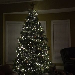 Meet your Posher, Velma